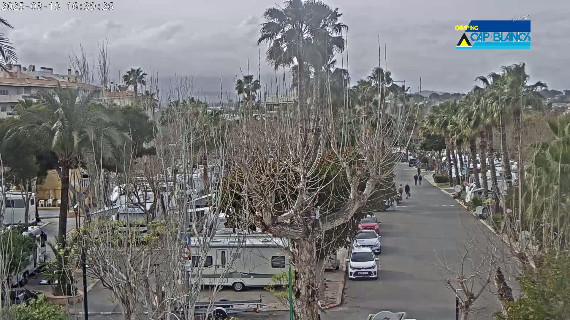 A paved road lined with palm trees and parked RVs runs through a campground under an overcast sky.