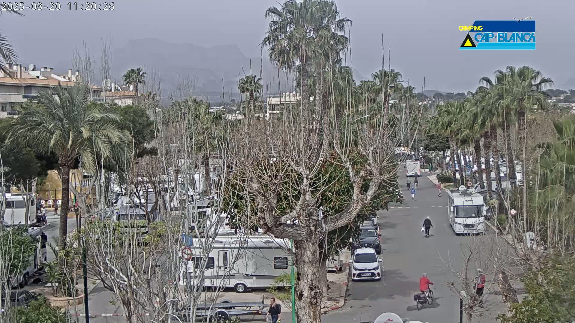 A street scene under an overcast sky shows numerous RVs parked in a lot surrounded by palm trees and bare deciduous trees, with a few people walking and biking on the street.