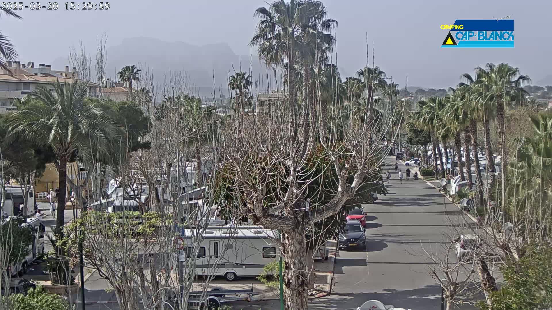 A street lined with palm trees and bare deciduous trees, RV's parked in a lot, and cars parked along the side of the road, under a hazy, sunny sky with mountains in the distance.