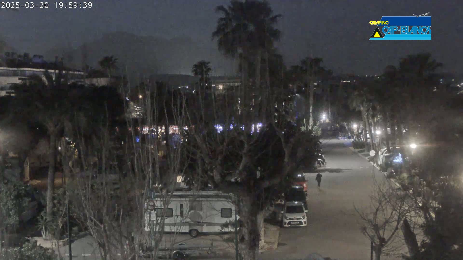 A nighttime view of a paved road lined with parked cars and recreational vehicles, surrounded by palm trees and other vegetation under a dark, hazy sky.