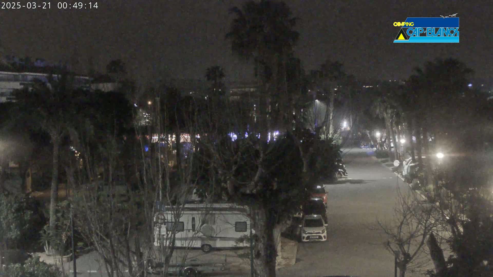 A nighttime view of a street lined with palm trees and parked cars, including a campervan, under a dark sky.