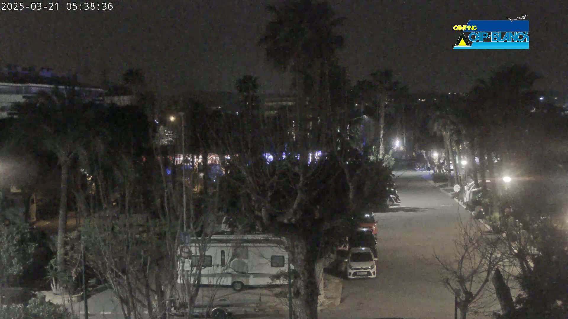 A nighttime view of a street lined with palm trees and parked vehicles, including a camper van, under a dark sky.