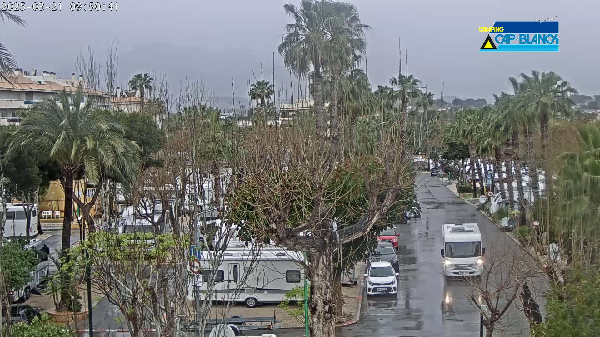 A wet, overcast day reveals a parking lot filled with RVs and cars, surrounded by palm trees and other vegetation, with a road running through the middle.