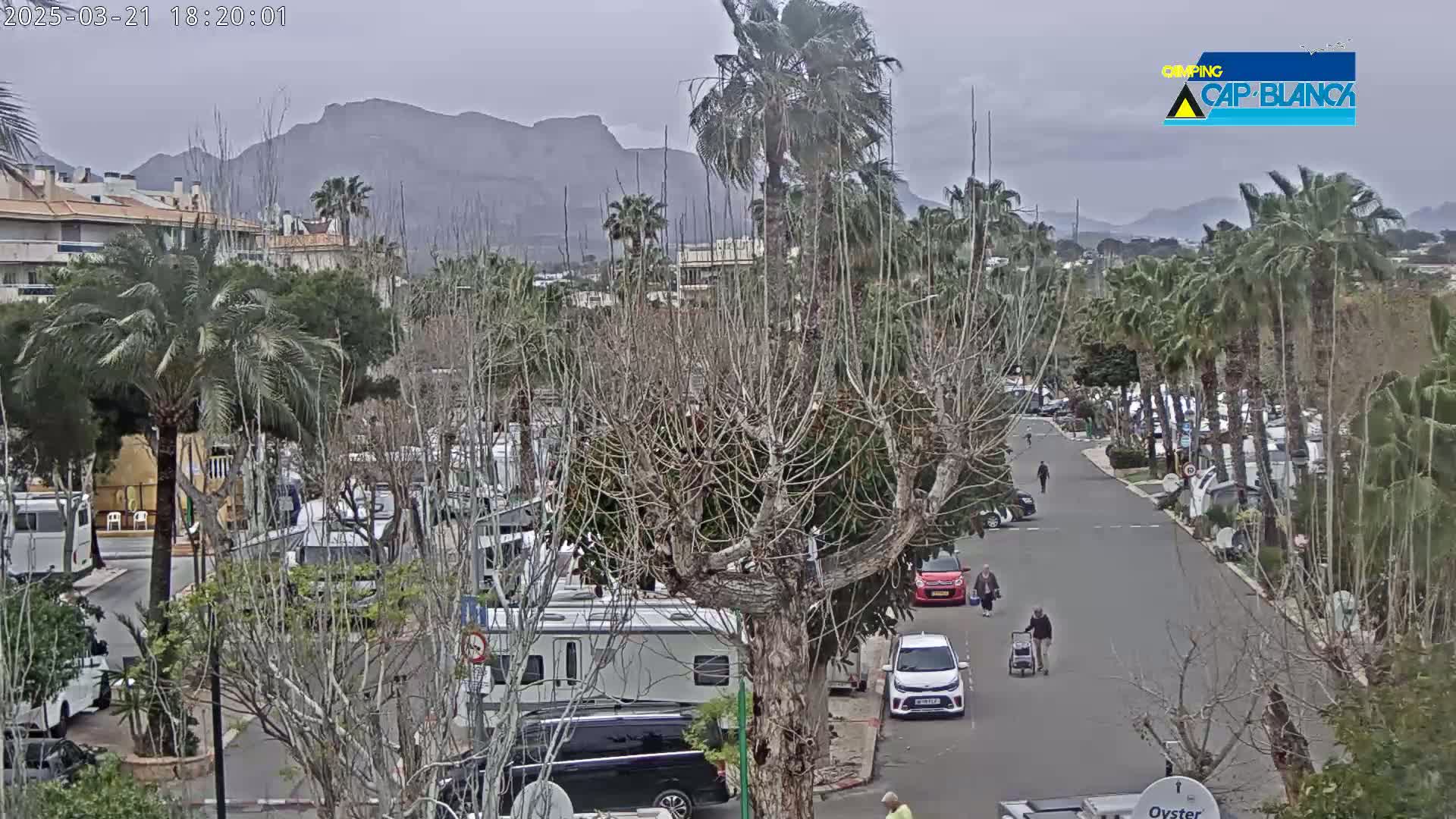 A parking lot filled with RVs and cars is situated beneath a cloudy sky, with mountains visible in the distance and several palm trees lining a roadway.