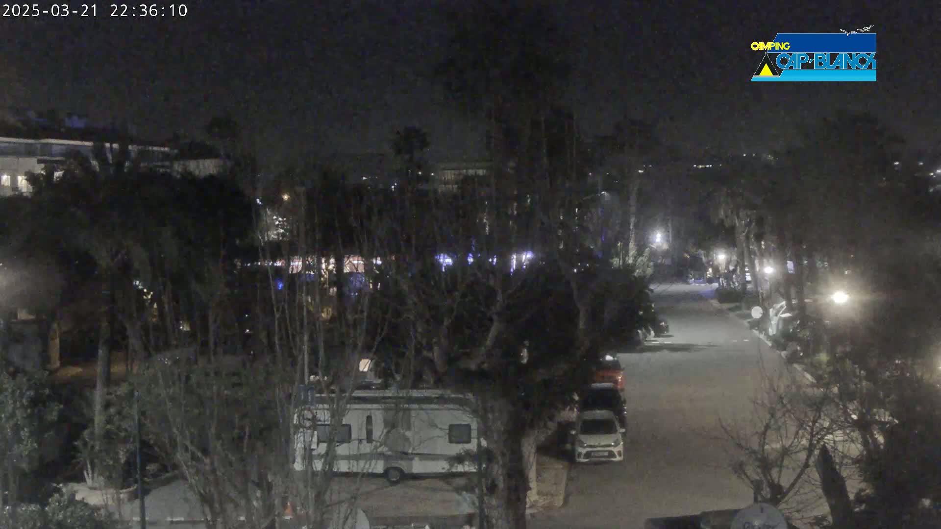 A nighttime view of a paved road lined with trees and parked cars and recreational vehicles, under a clear, dark sky.
