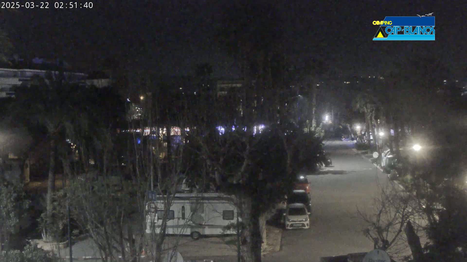 A nighttime view of a street lined with trees and parked vehicles, including a campervan, under a dark sky.