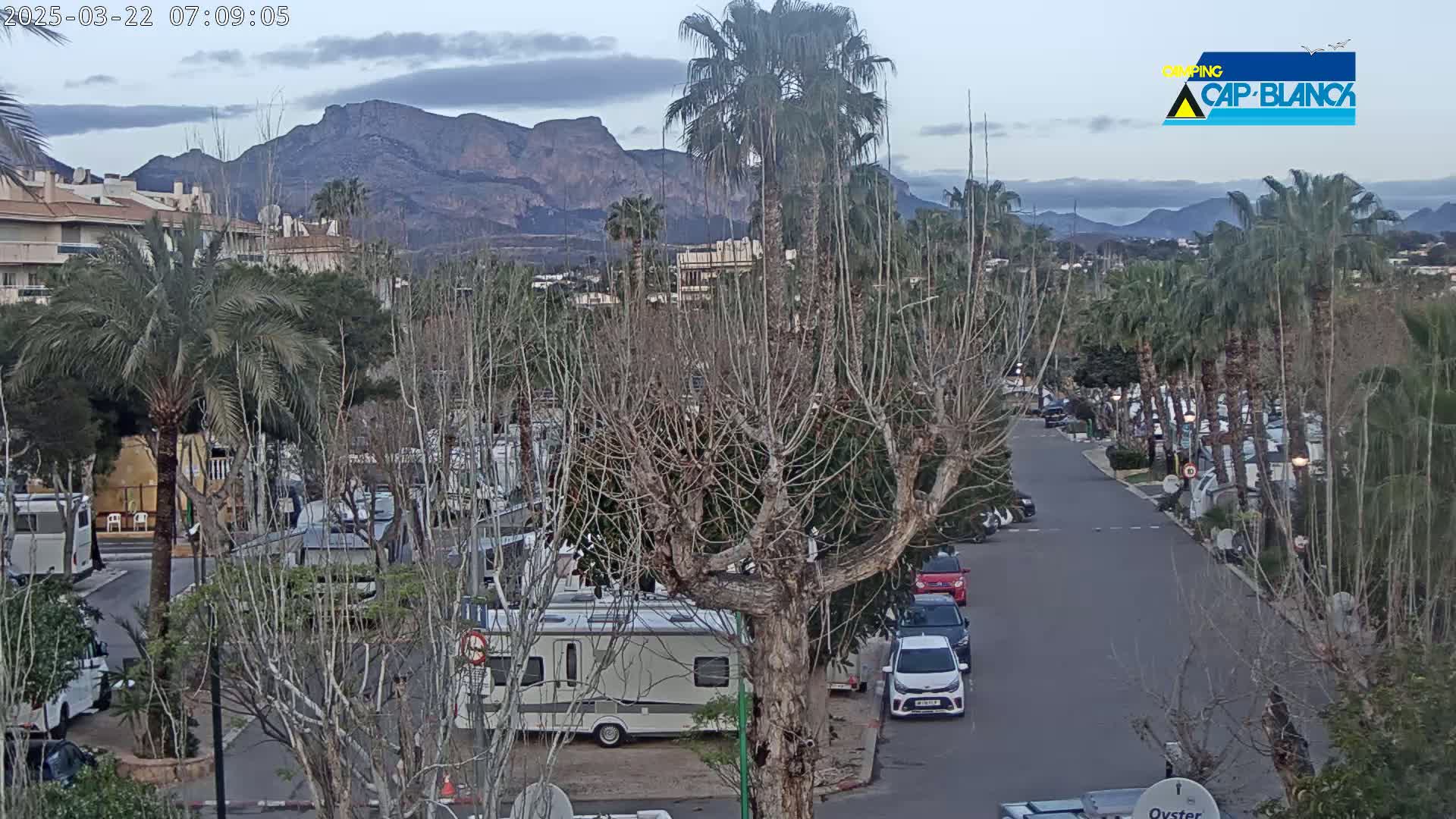 A parking lot filled with RVs and cars is nestled among palm trees and bare deciduous trees, with mountains visible in the background under a cloudy sky.