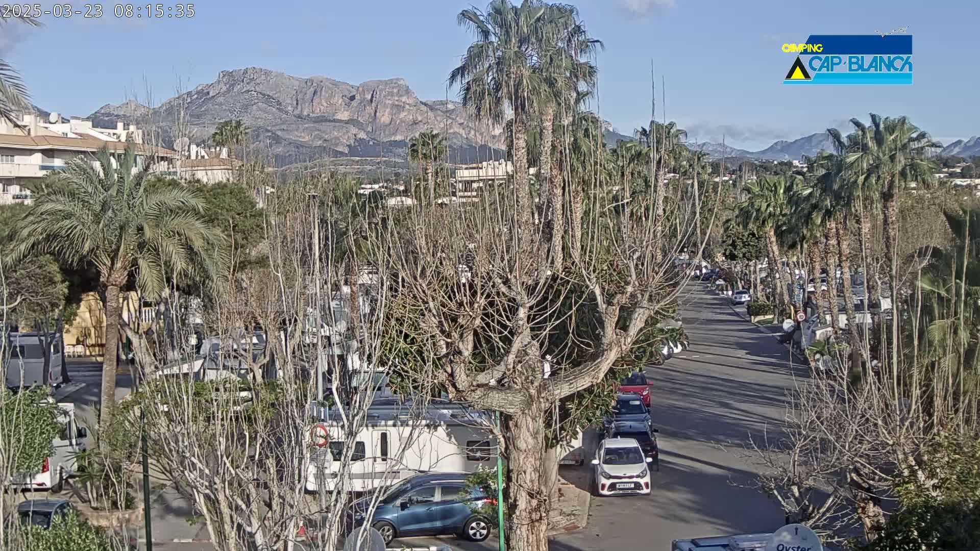 A street lined with palm trees and bare deciduous trees, with parked cars and RVs, leads towards a mountain range under a clear blue sky.