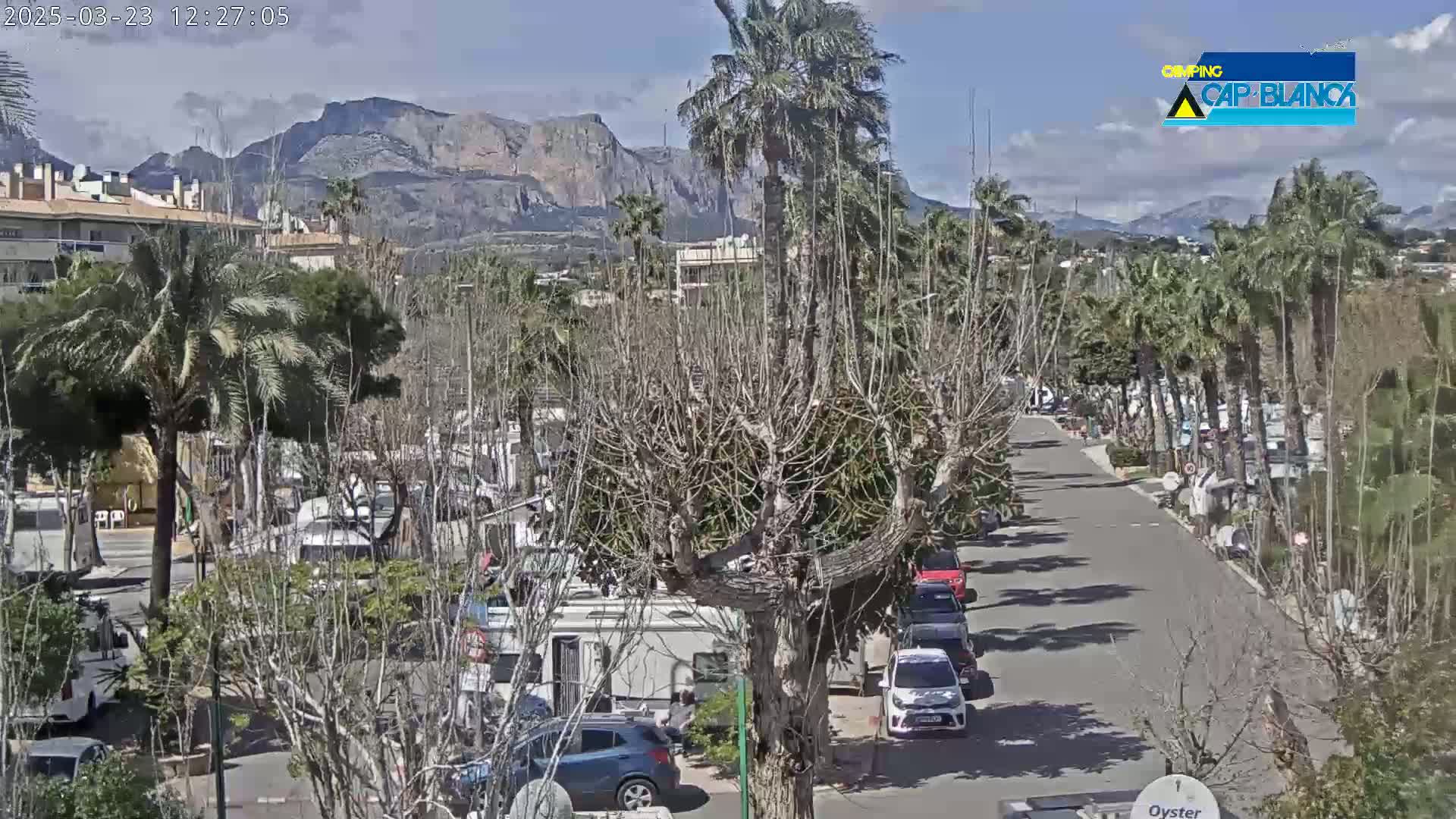 A sunny day reveals a street scene with parked cars and RVs nestled among leafless trees and palm trees, set against a backdrop of mountains.