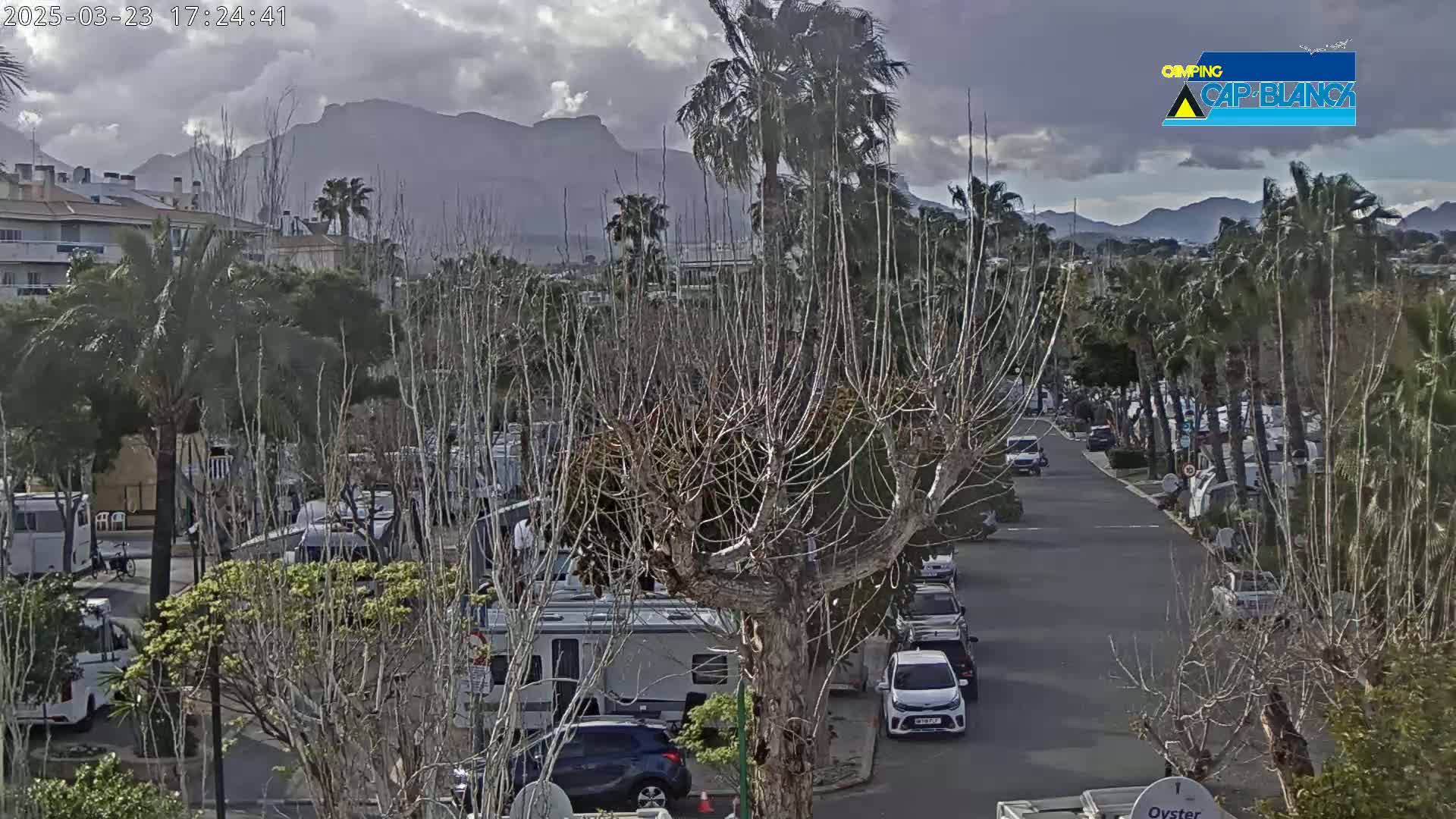 A street lined with parked RVs and cars under an overcast sky, with mountains in the background and bare trees in the foreground.