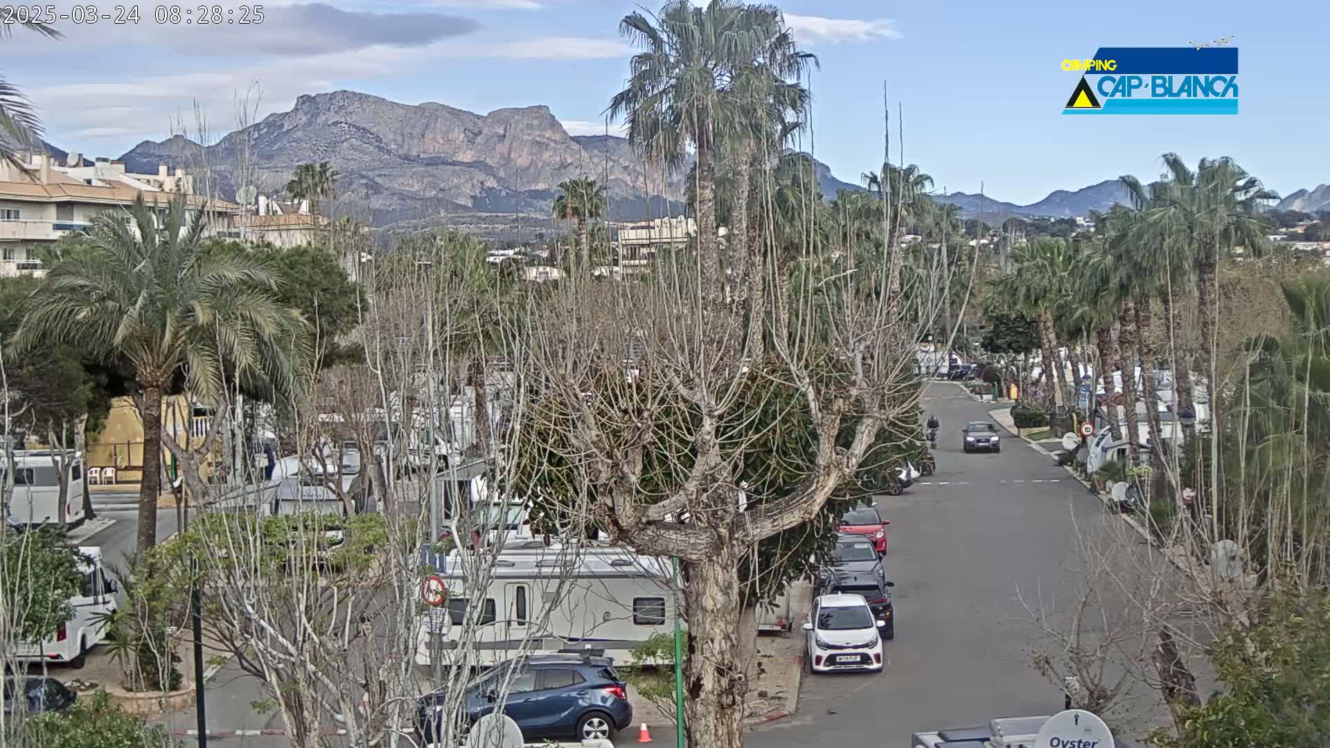A mostly sunny day reveals a campground with numerous RVs and cars parked among bare trees and palm trees, with mountains in the background.