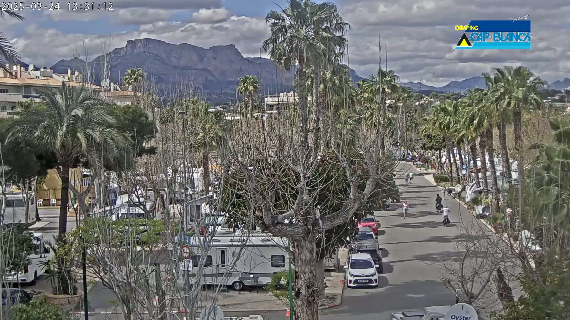 A paved road lined with palm trees and parked recreational vehicles leads towards a mountain range under a partly cloudy sky.