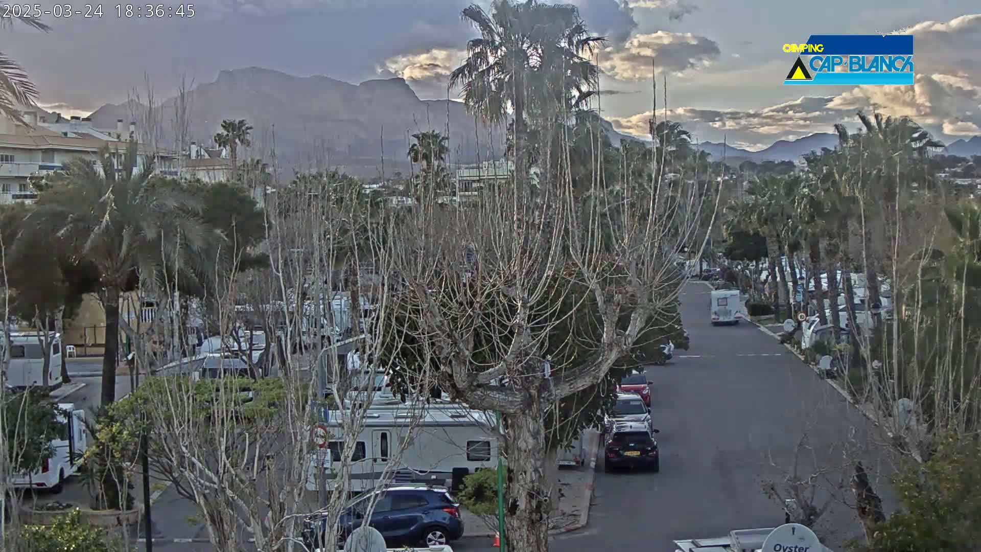 A street lined with bare trees and RVs, under a cloudy sky, with mountains visible in the distance.