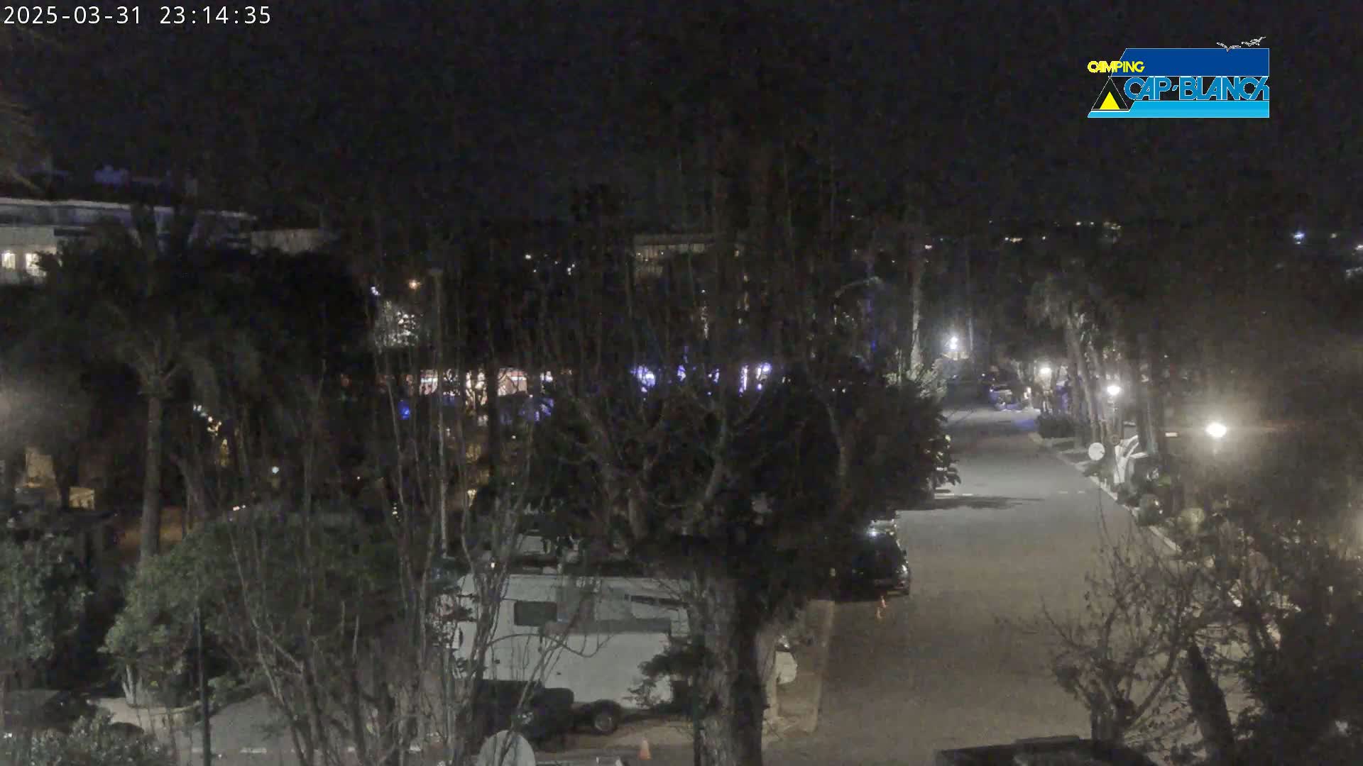 A nighttime, dimly lit street lined with trees and parked vehicles, some of which appear to be RVs.