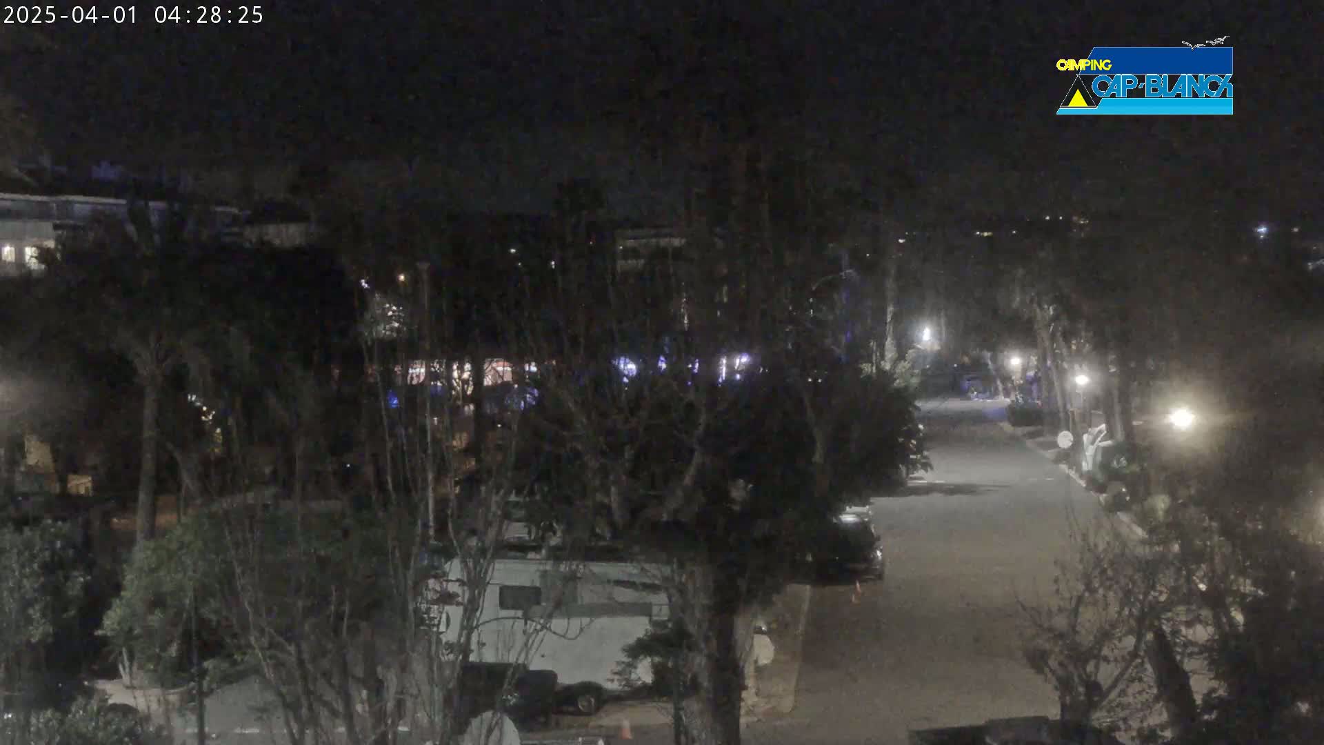 A nighttime, dimly lit street scene shows a roadway lined with trees and parked vehicles, including a camper van, under a dark sky.