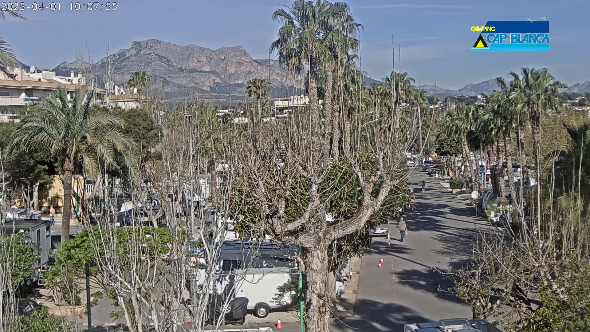 A sunny day reveals a street lined with palm trees and bare deciduous trees, leading to a mountainous backdrop, with recreational vehicles parked along the sides.