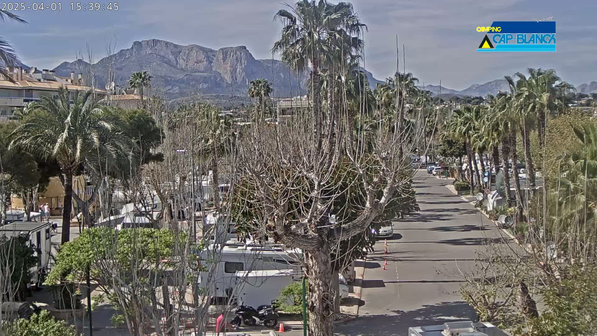 A sunny day reveals a street lined with palm trees and RVs, with mountains in the background.