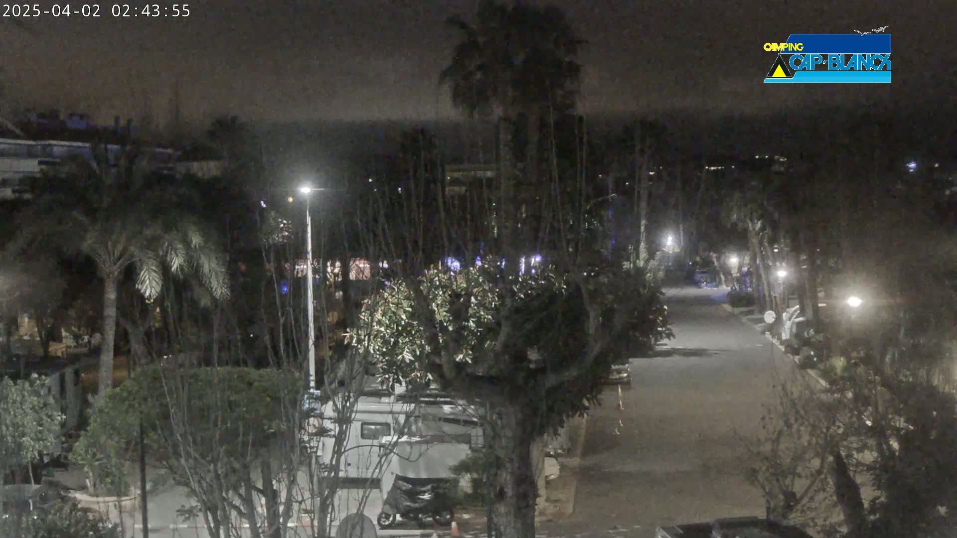 A nighttime, dimly lit paved road winds through a campground amongst palm trees and other vegetation, with several parked recreational vehicles visible.