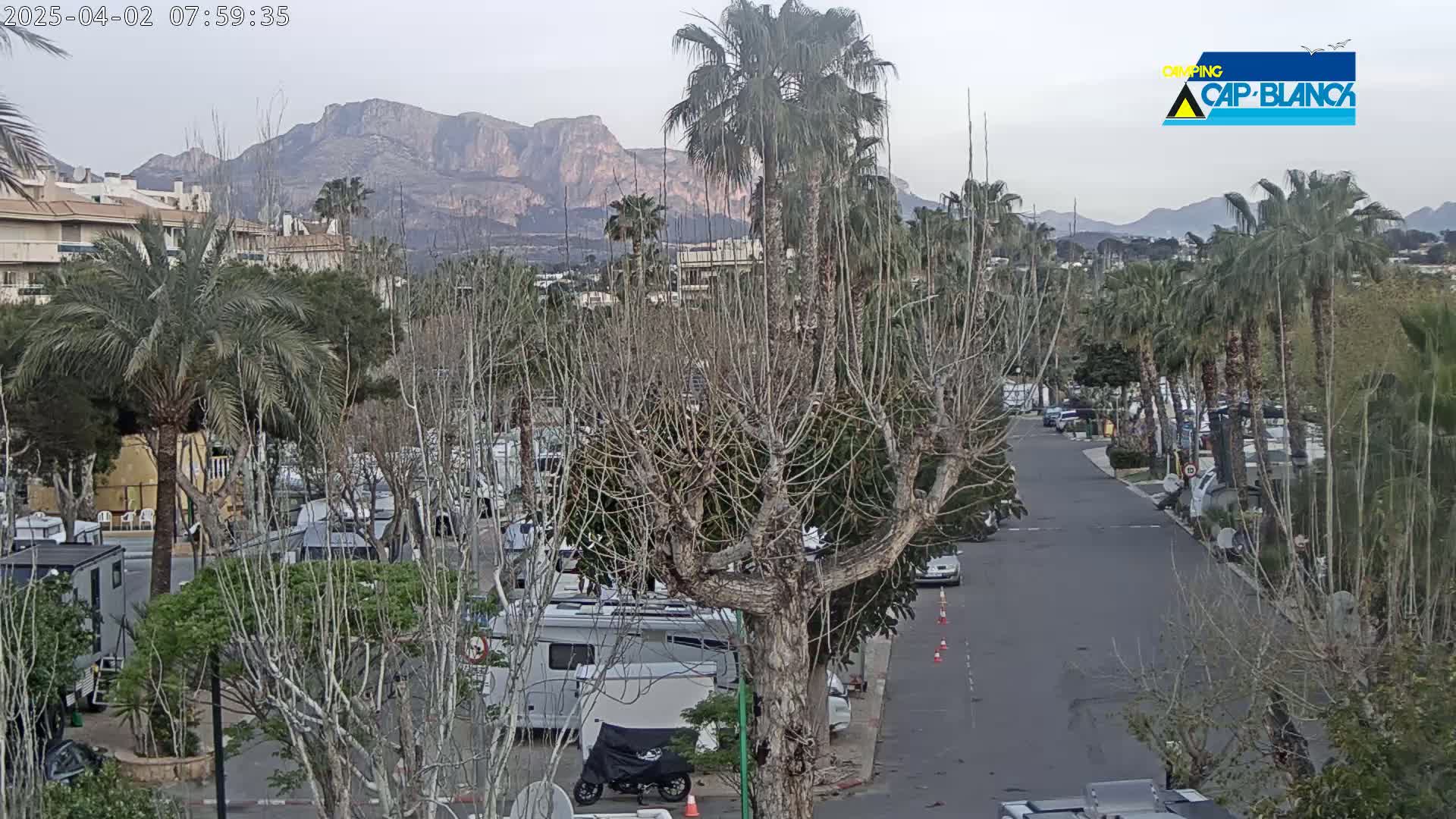 A paved road winds through a campground filled with RVs, under a cloudy sky, with palm trees and bare trees in the foreground and mountains in the background.