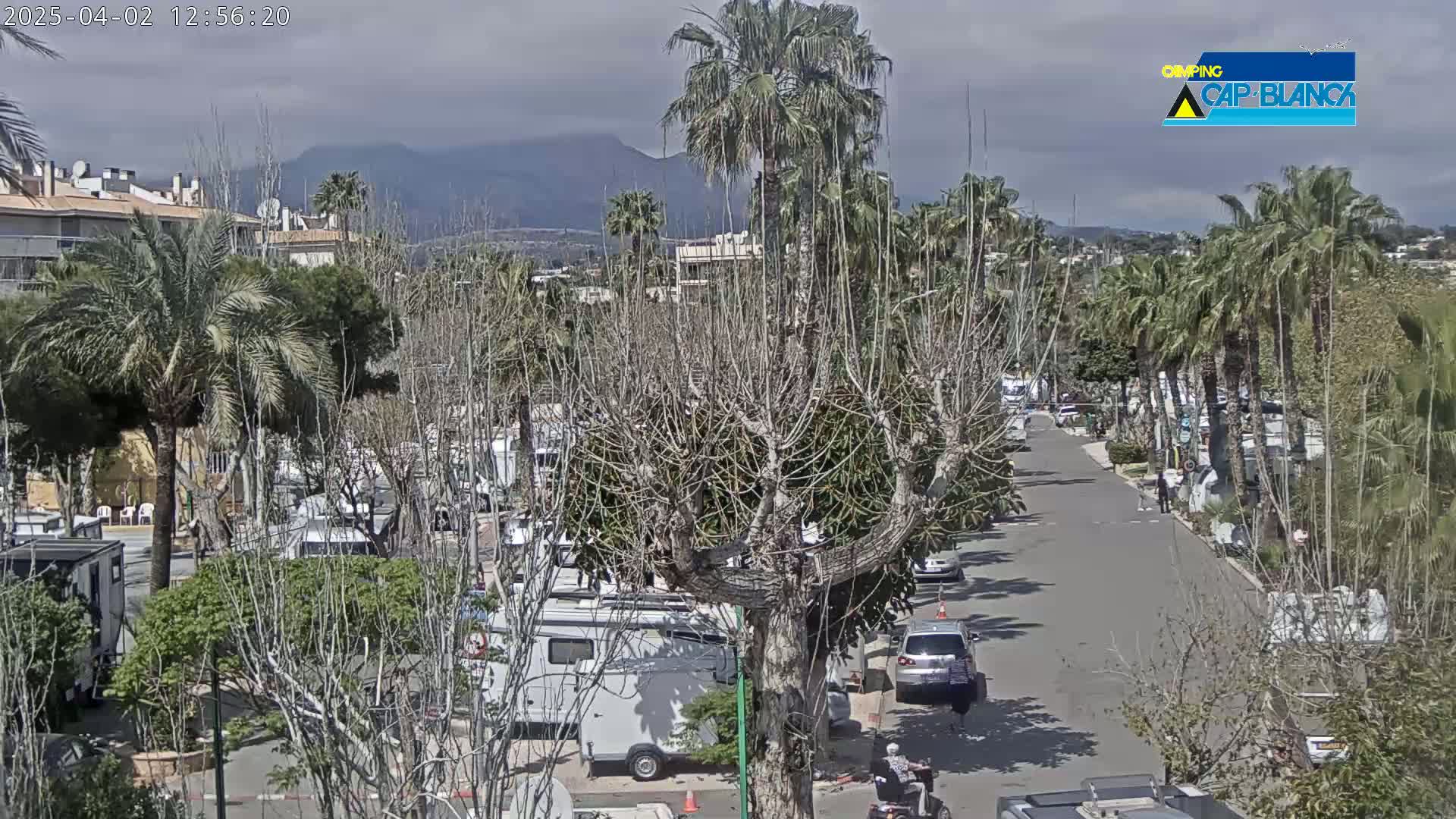 A mostly cloudy day reveals a street lined with palm trees and recreational vehicles, with mountains in the background.