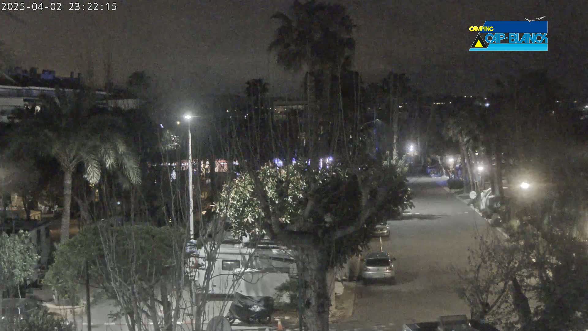 A nighttime view of a street lined with palm trees and parked vehicles, under a dark sky.