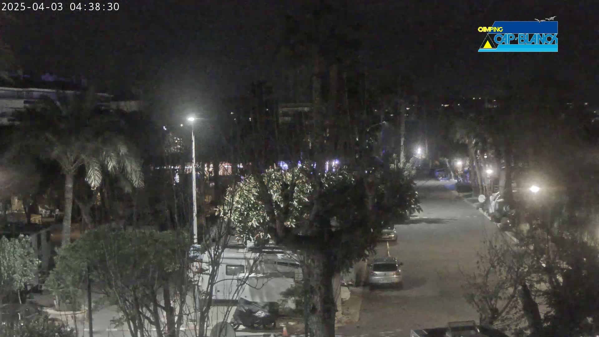 A nighttime view of a paved road lined with trees and parked vehicles, illuminated by streetlights.