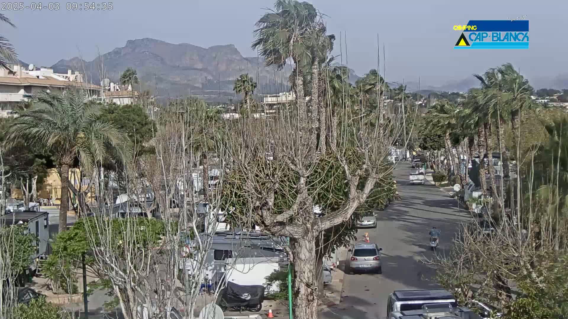 A windy, sunny day reveals a street lined with palm trees and recreational vehicles, nestled between buildings and mountains.