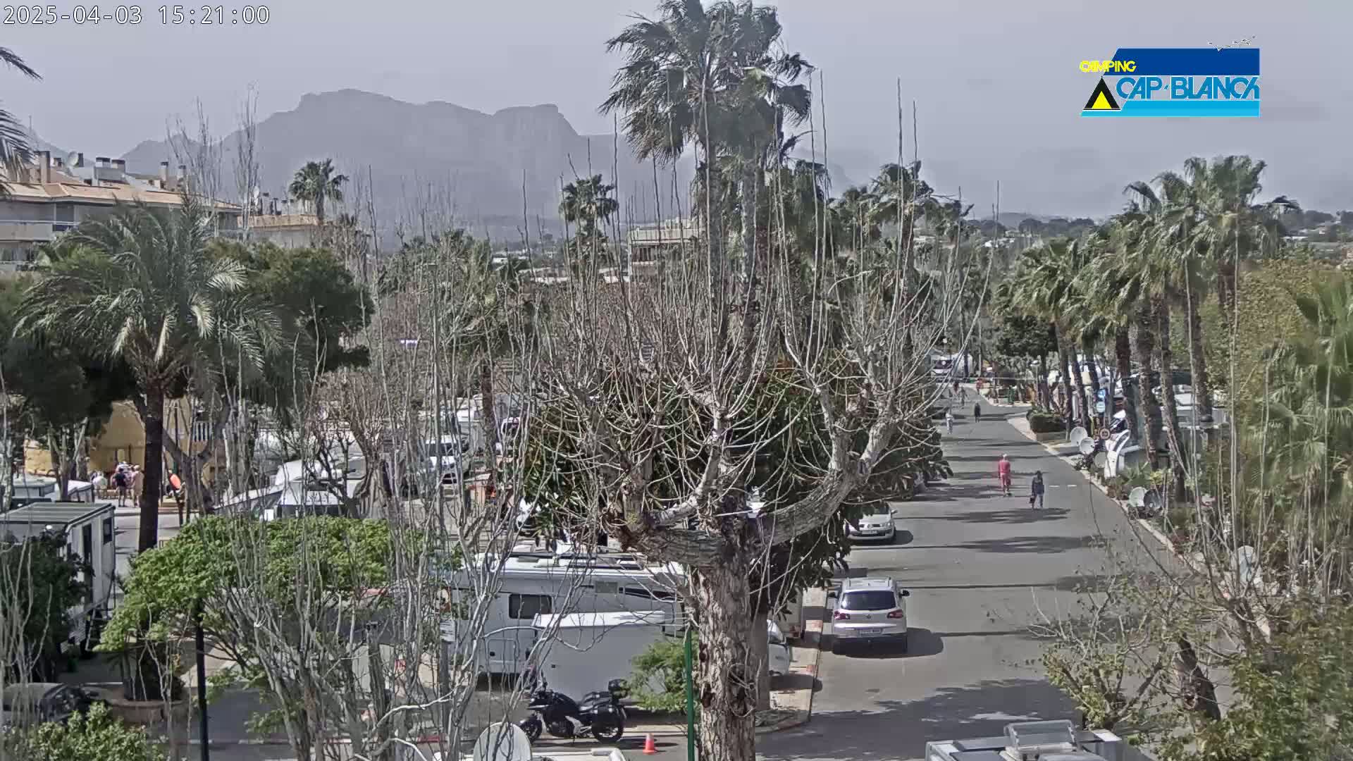 A paved road lined with palm trees and parked recreational vehicles winds through a campground toward hazy mountains under a mostly clear sky.