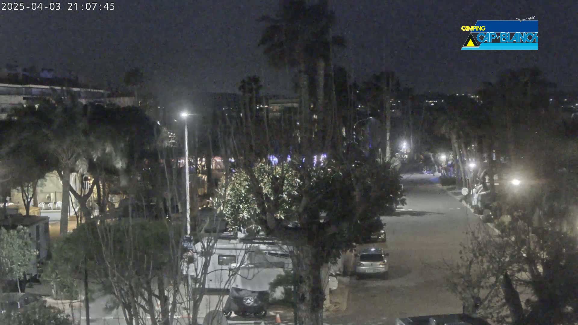 A nighttime view of a paved road lined with palm trees and parked vehicles, bordered by buildings and vegetation under a dark sky.