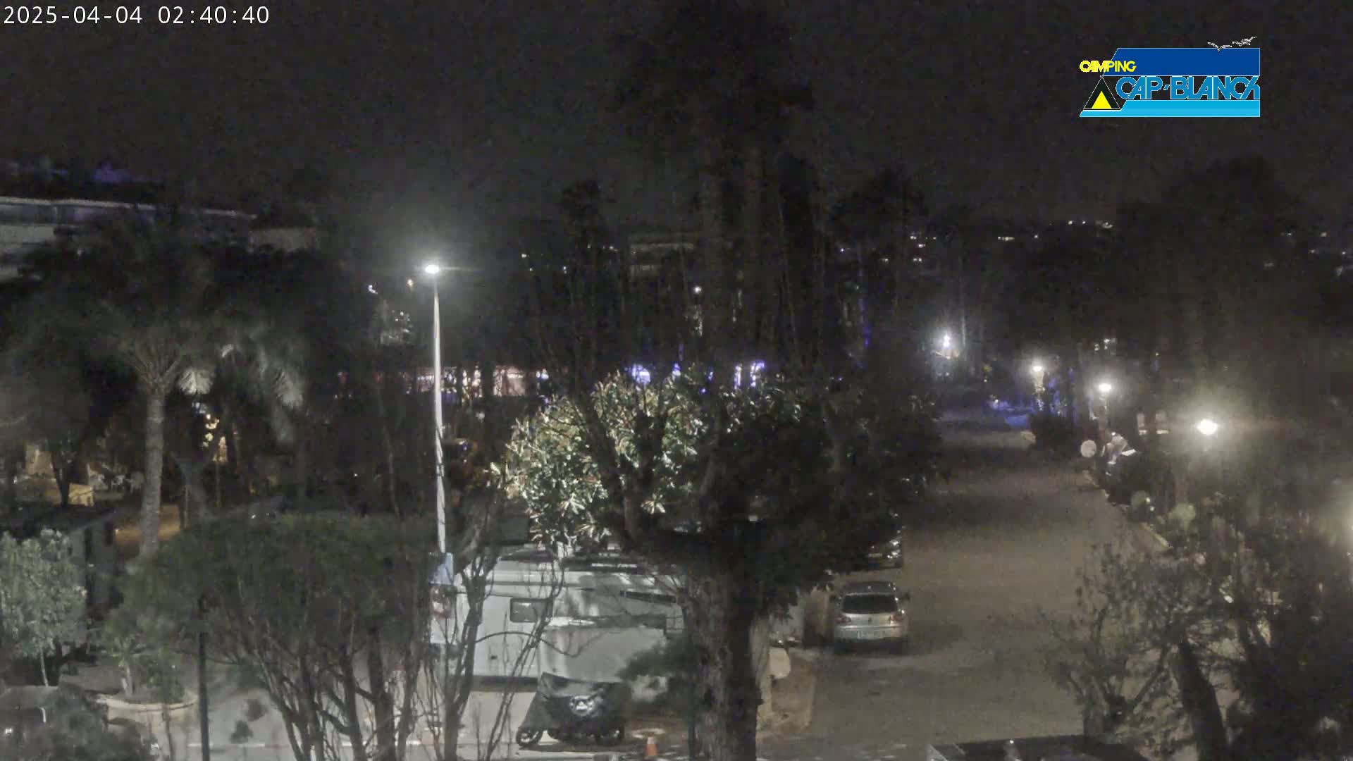 A nighttime view of a parking lot and street lined with trees and buildings, illuminated by streetlights.