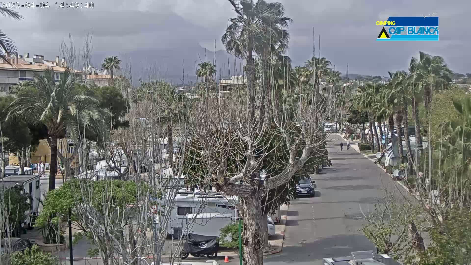 An overcast day reveals a street scene with palm trees, bare deciduous trees, RVs, cars, and buildings, in what appears to be a campground or RV park.