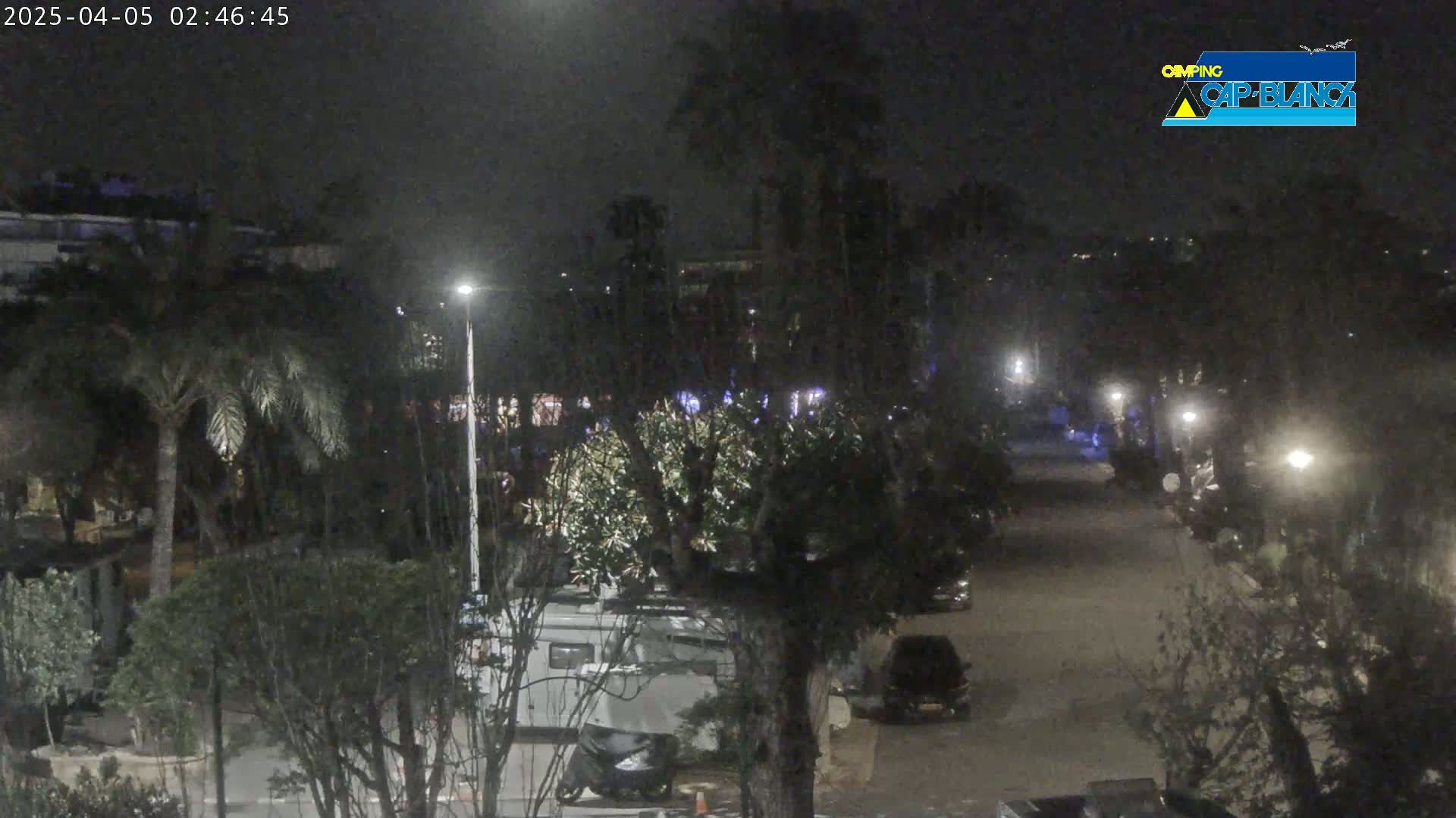 A nighttime, dimly lit street scene shows several parked vehicles among palm trees and other vegetation, with streetlights illuminating the area.