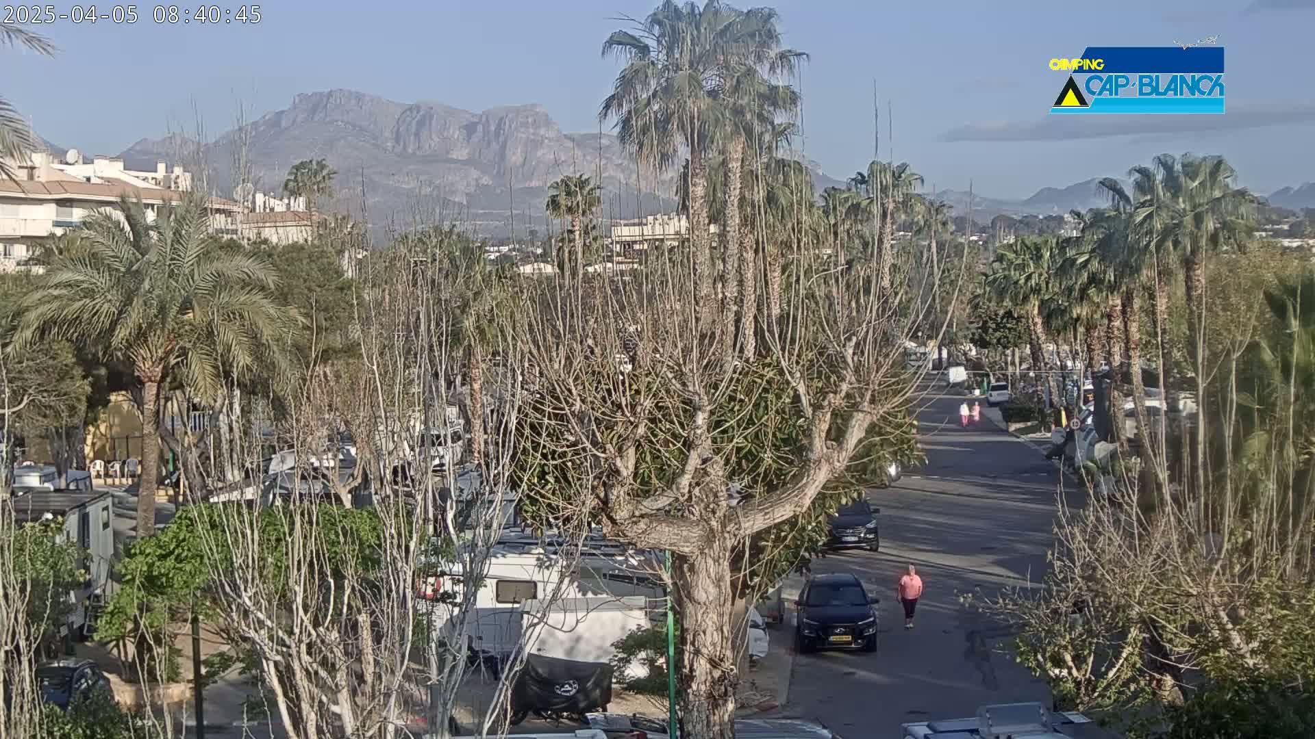 A sunny day reveals a street scene with palm trees, bare deciduous trees, parked cars and RVs, a few pedestrians, and mountains in the background.
