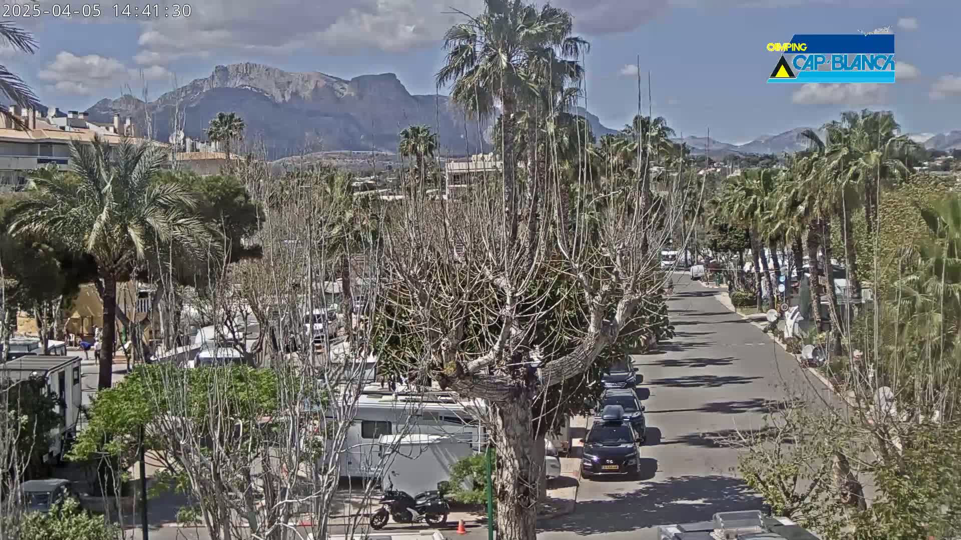 A partly cloudy day reveals a street lined with palm trees and parked cars, leading towards a mountainous backdrop.