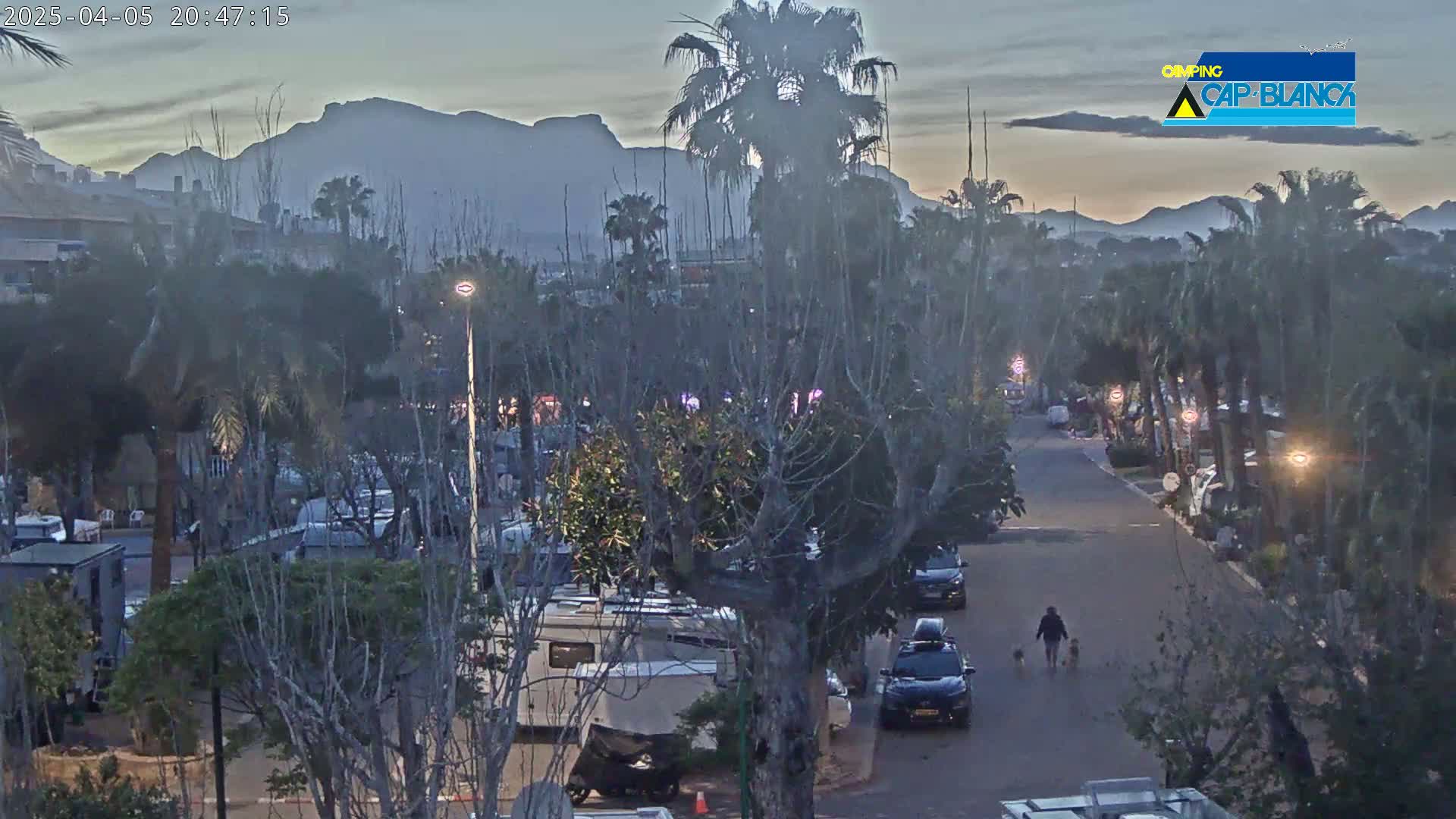 A twilight view of a street lined with RVs and palm trees, with mountains in the background and a person walking two dogs.