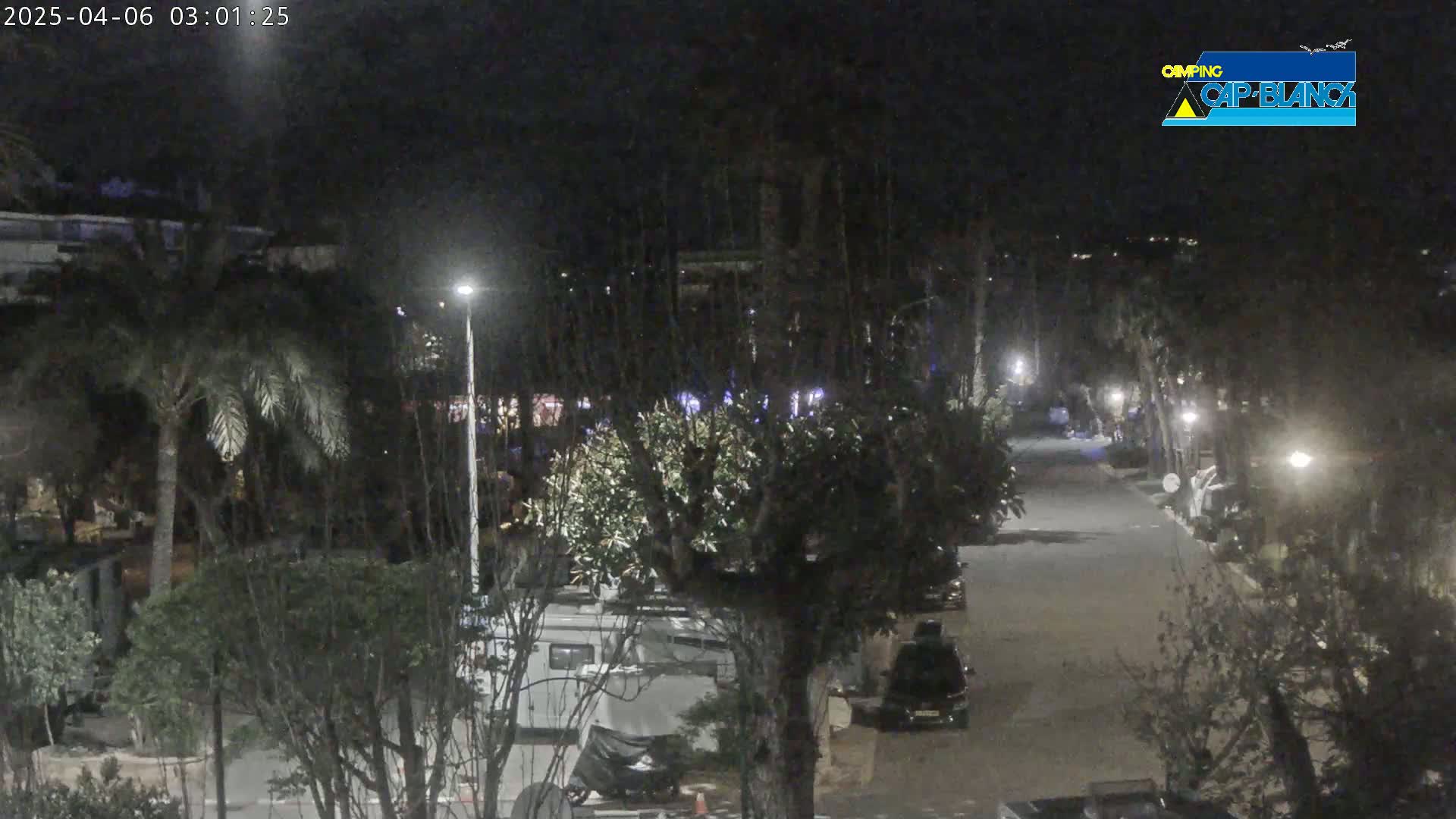 A nighttime view of a paved road lined with trees and parked vehicles, illuminated by streetlights.