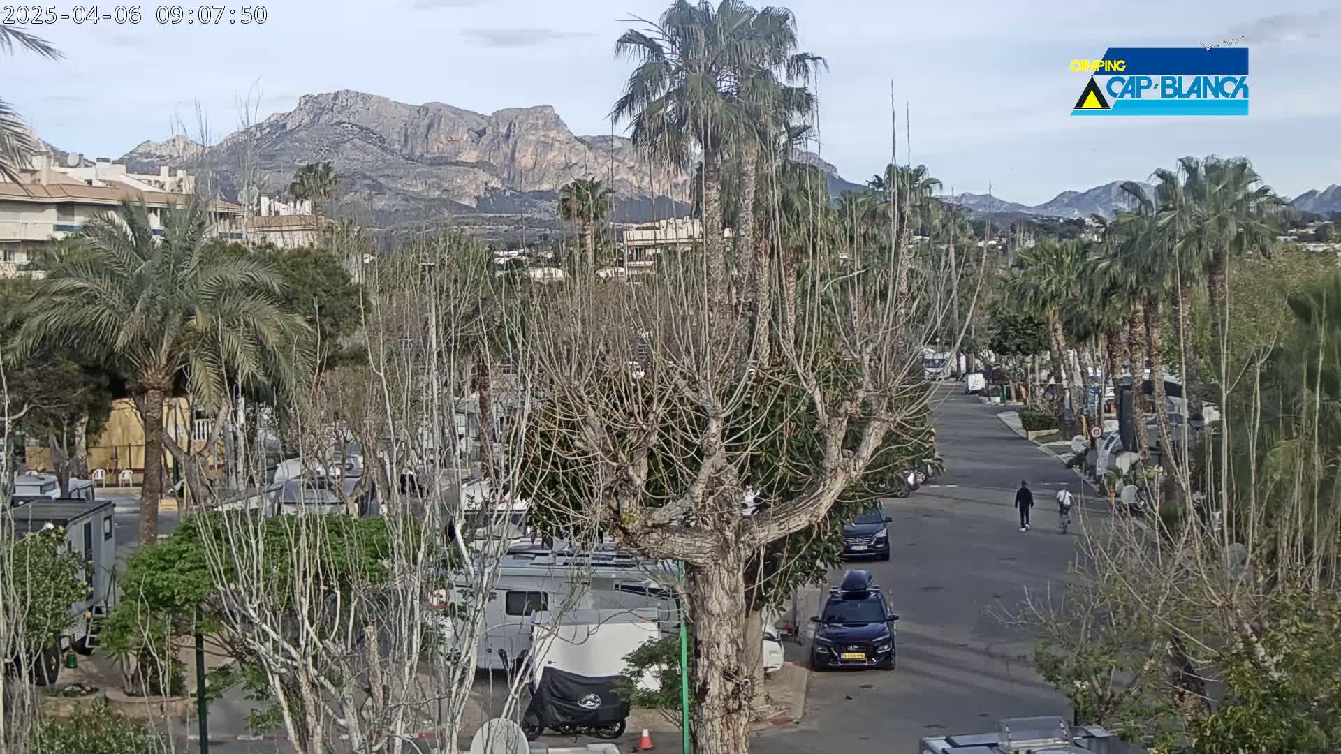 A paved road winds through a campground with RVs, palm trees, and bare deciduous trees, under a partly cloudy sky, with mountains visible in the distance.