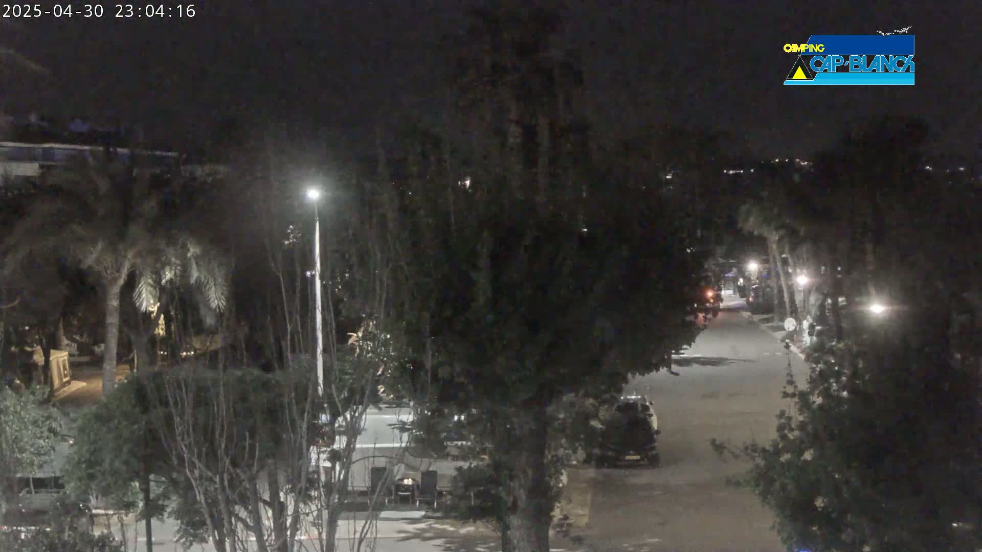 A nighttime view of a street lined with trees and parked vehicles, illuminated by streetlights.