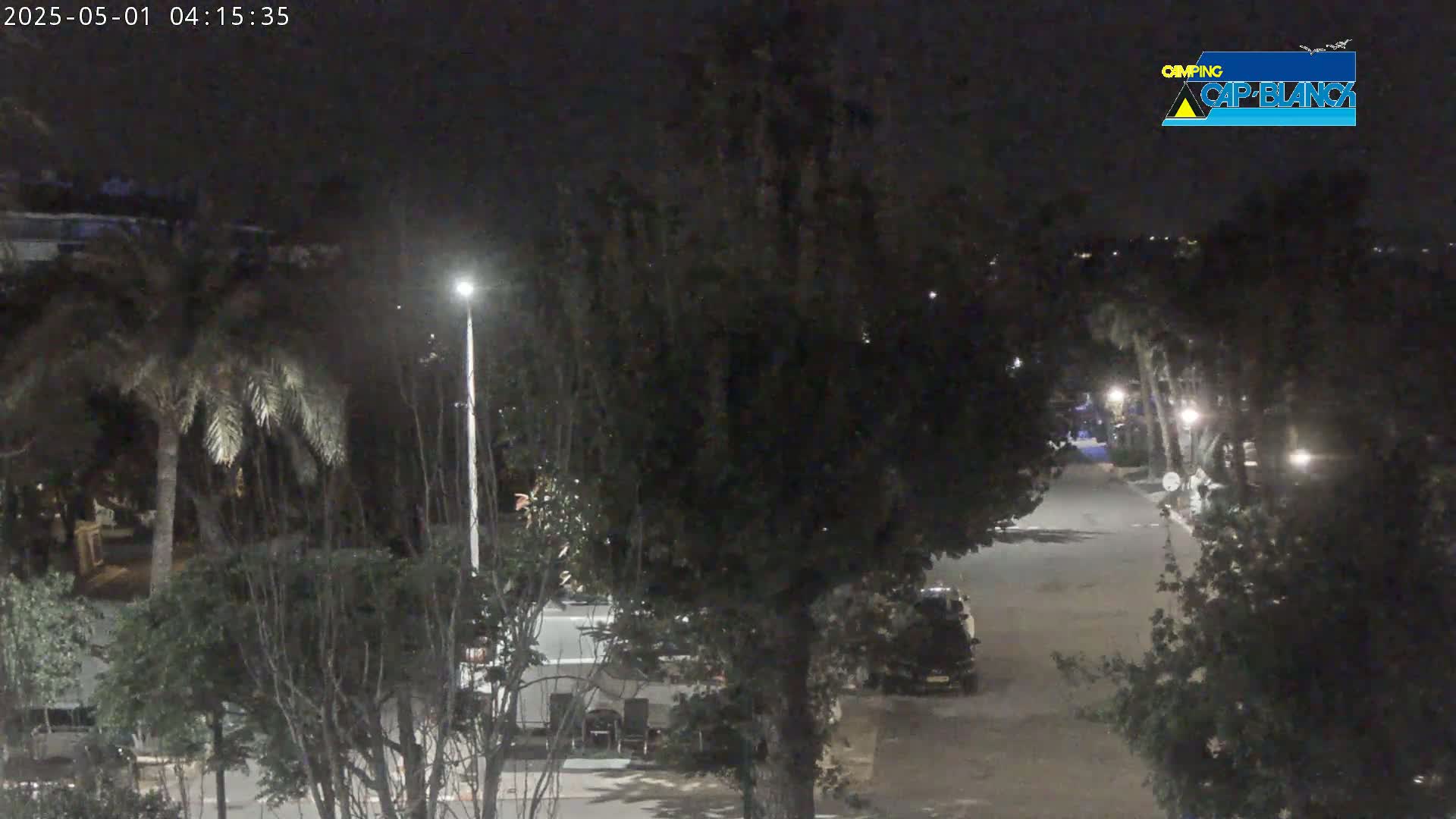 A nighttime, dimly lit street scene shows a paved road lined with trees and parked vehicles under a dark sky.