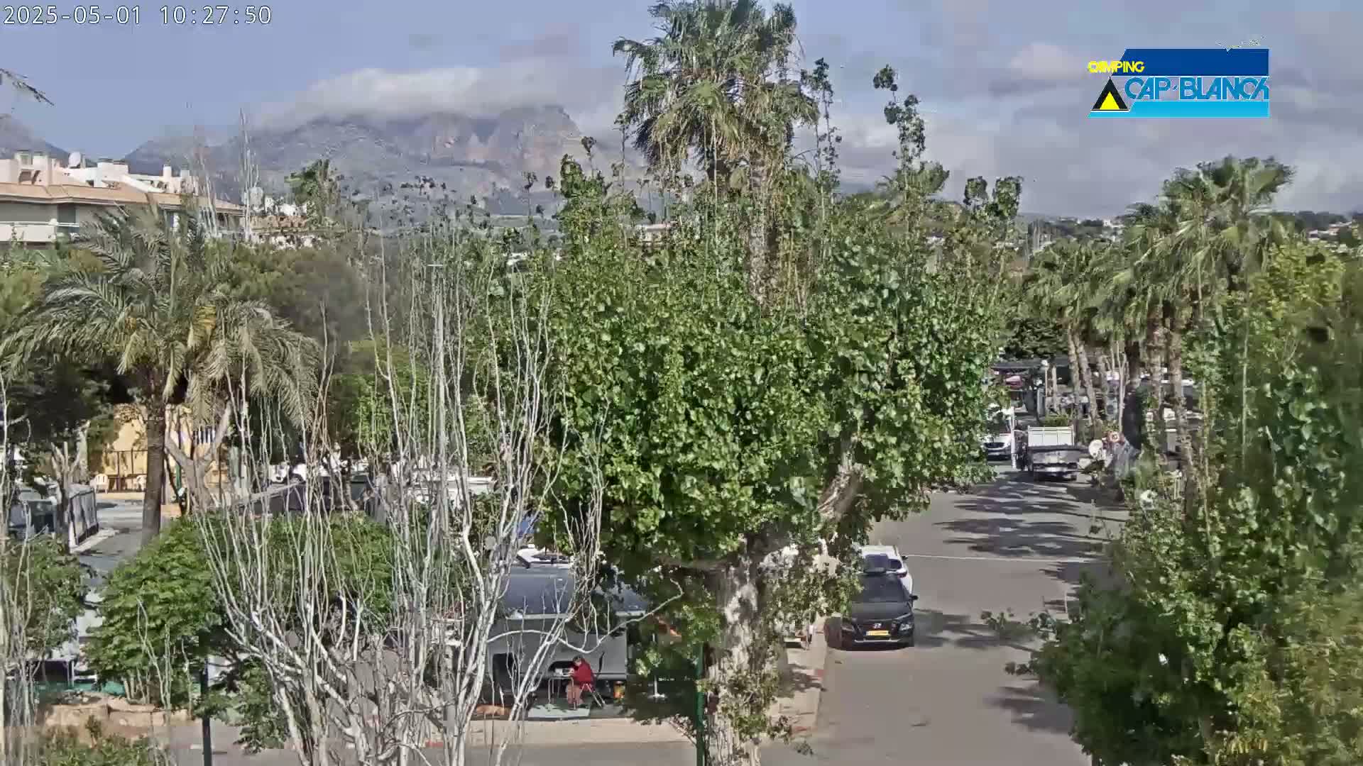 A partly cloudy day reveals a street scene with parked cars, palm trees, and buildings, with mountains visible in the distance.