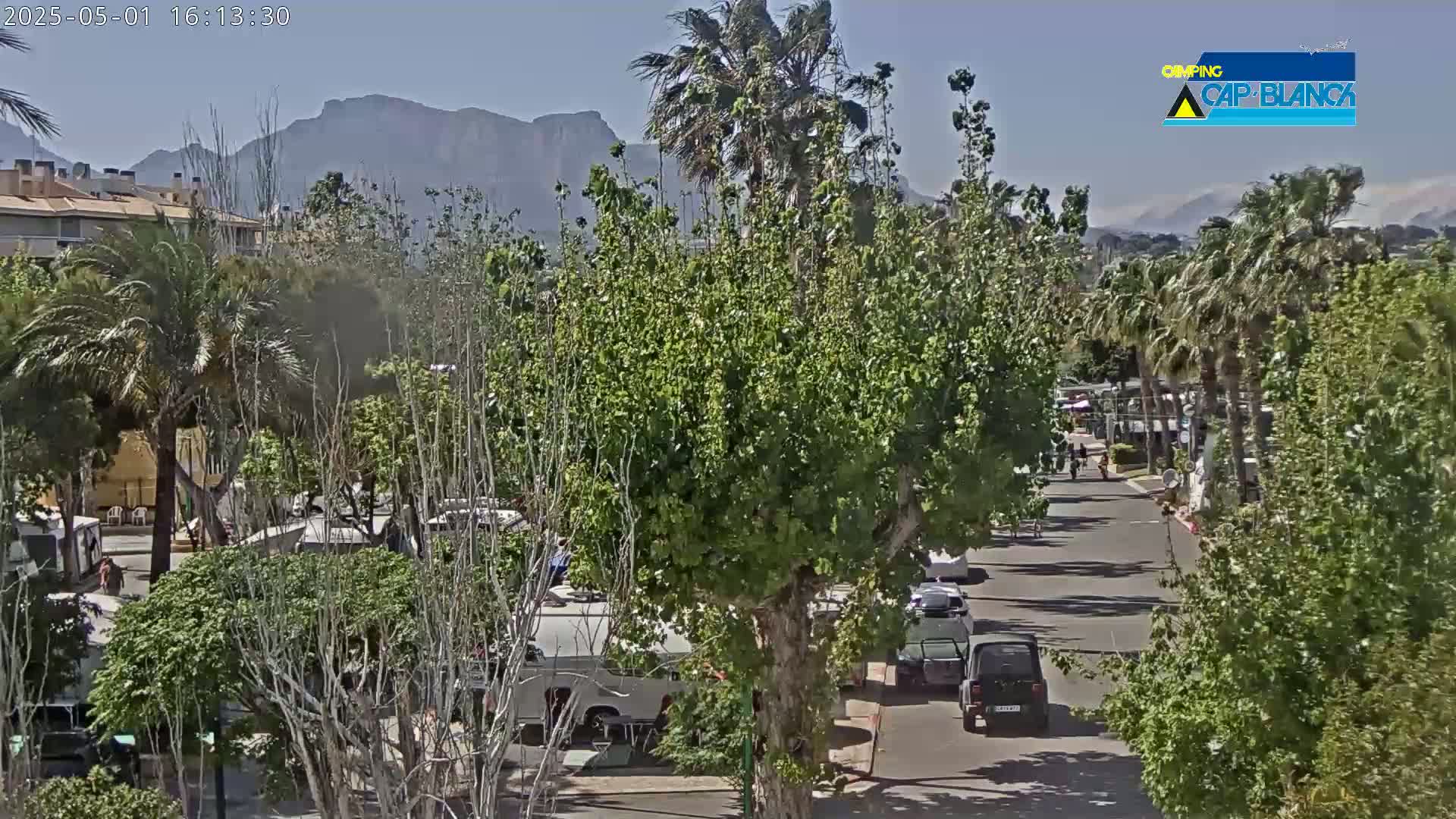 A sunny day reveals a street scene with parked vehicles, lush green trees, and distant mountains, some palm trees are swaying in the breeze.
