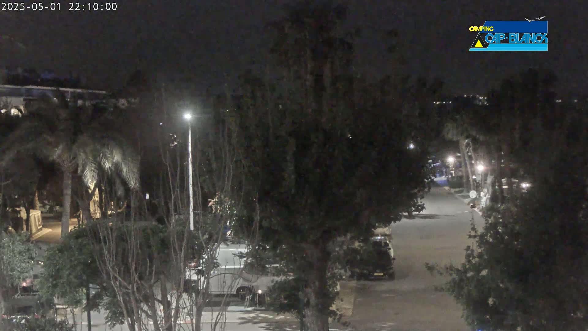 A nighttime view of a street lined with palm trees and parked cars, illuminated by streetlights.