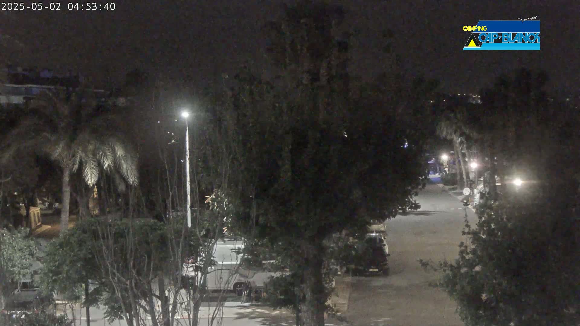 A nighttime street scene shows a road lined with trees and parked vehicles under artificial light.