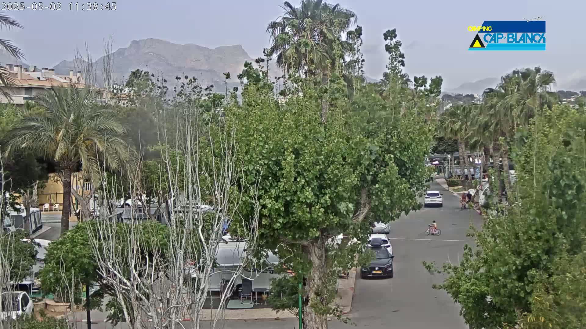 A street scene on an overcast day shows cars parked along a roadway lined with lush green trees and vegetation, with mountains visible in the background.