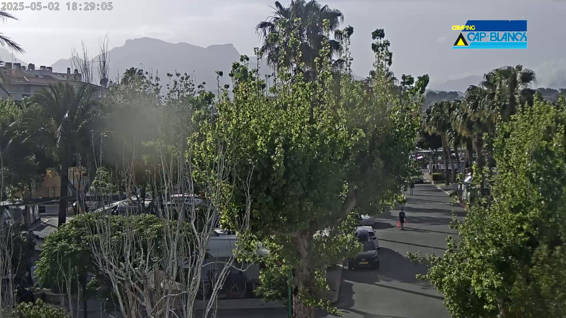 A hazy, overcast day reveals a street lined with palm trees and other leafy vegetation, mountains in the background, and several vehicles parked along the road.