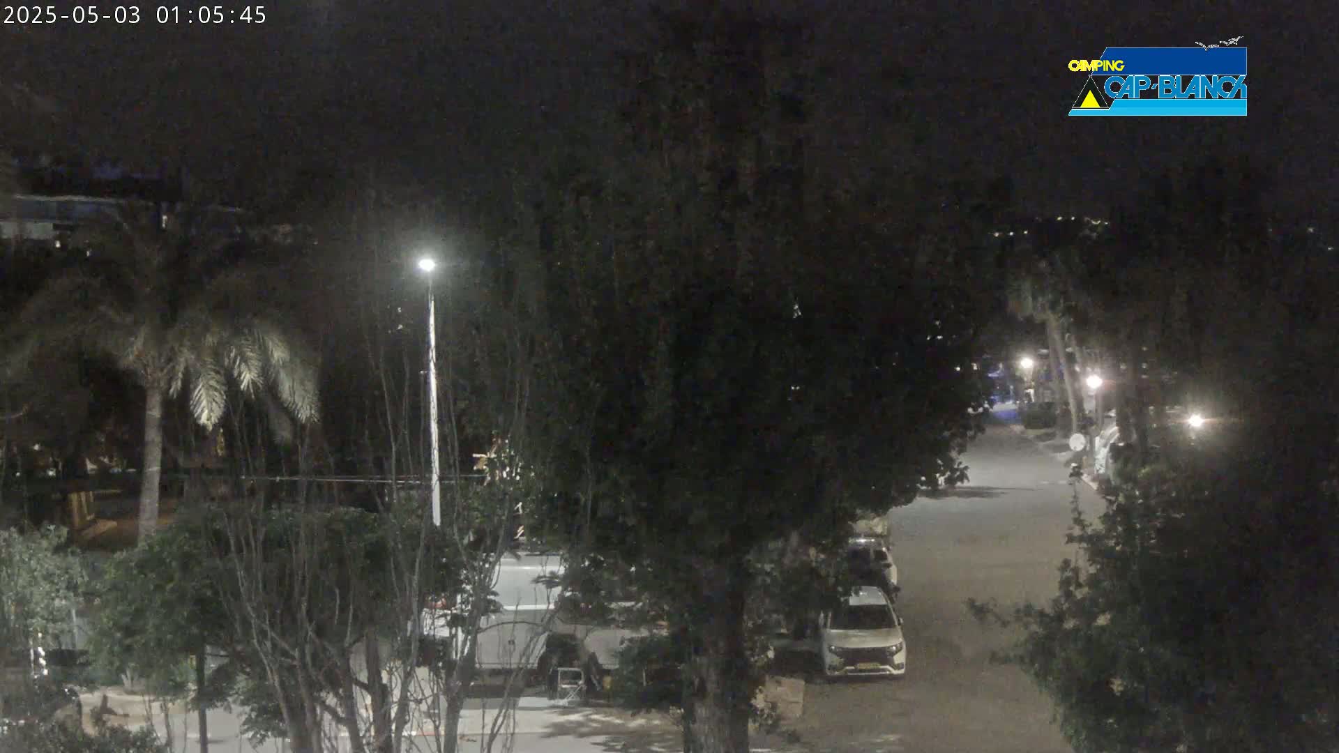 A nighttime view of a street with parked cars and trees, illuminated by streetlights.
