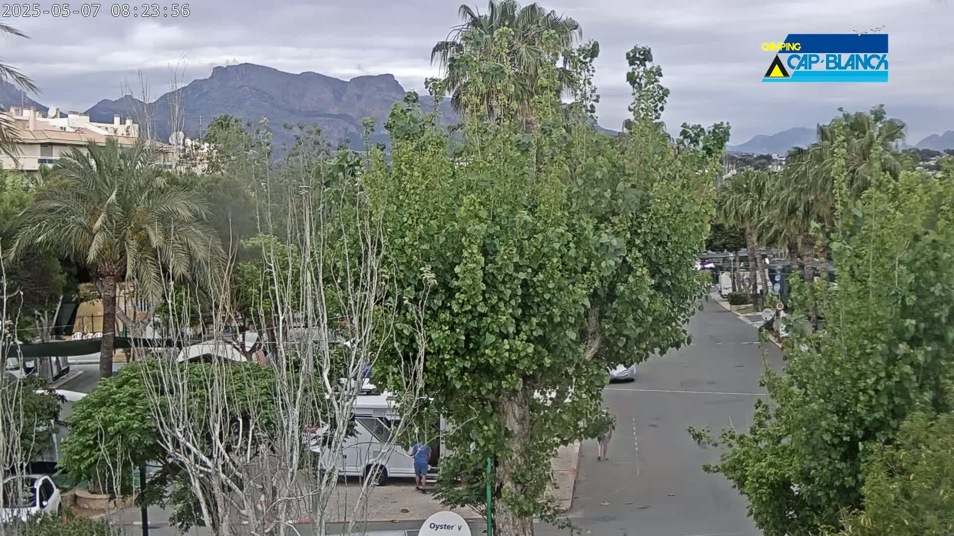 A paved road winds through a campground with lush green trees, RVs, and buildings, all set against a backdrop of mountains under an overcast sky.