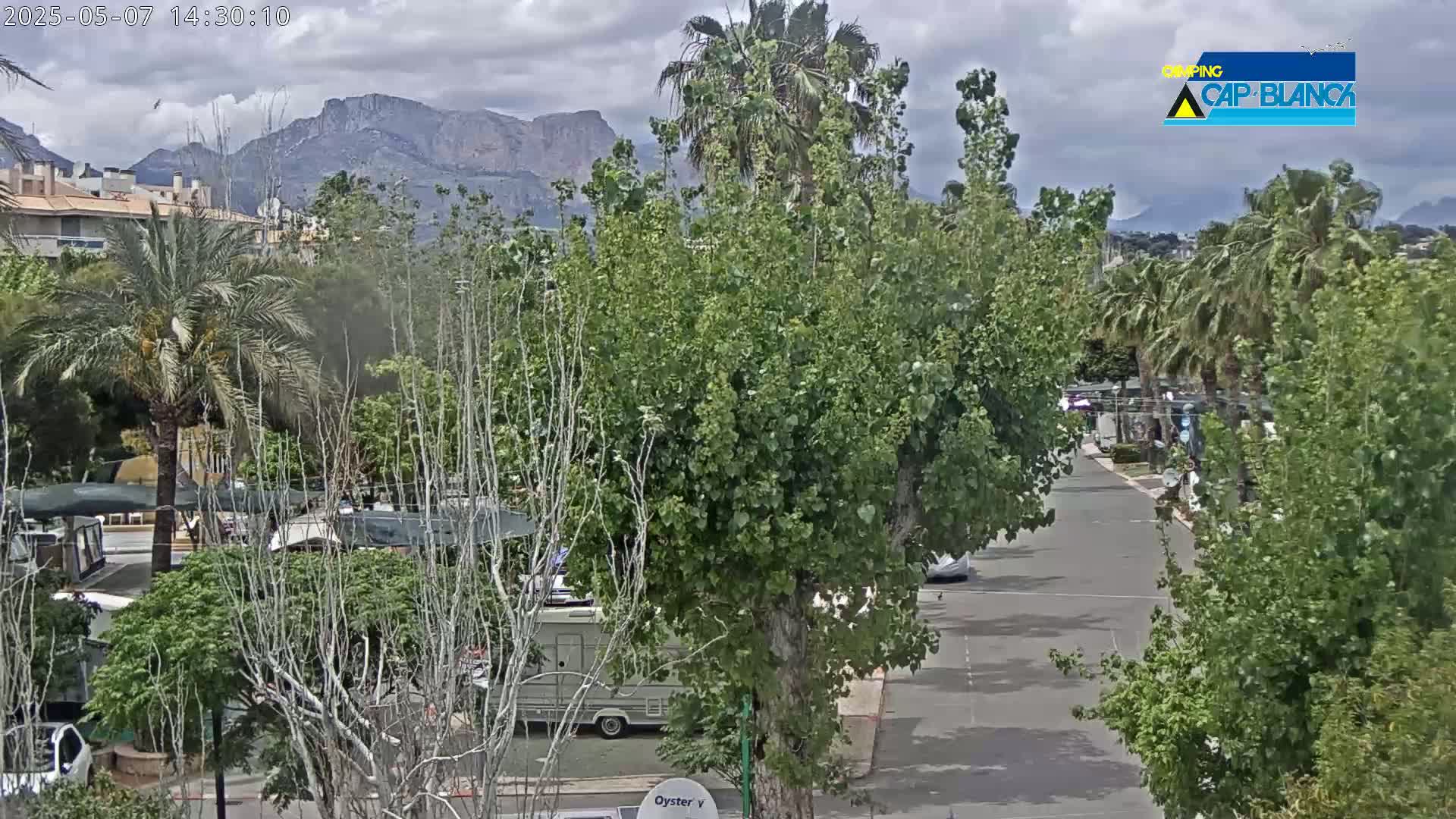 A partly cloudy day reveals a street lined with lush green trees and palm trees, leading to mountains in the distance.