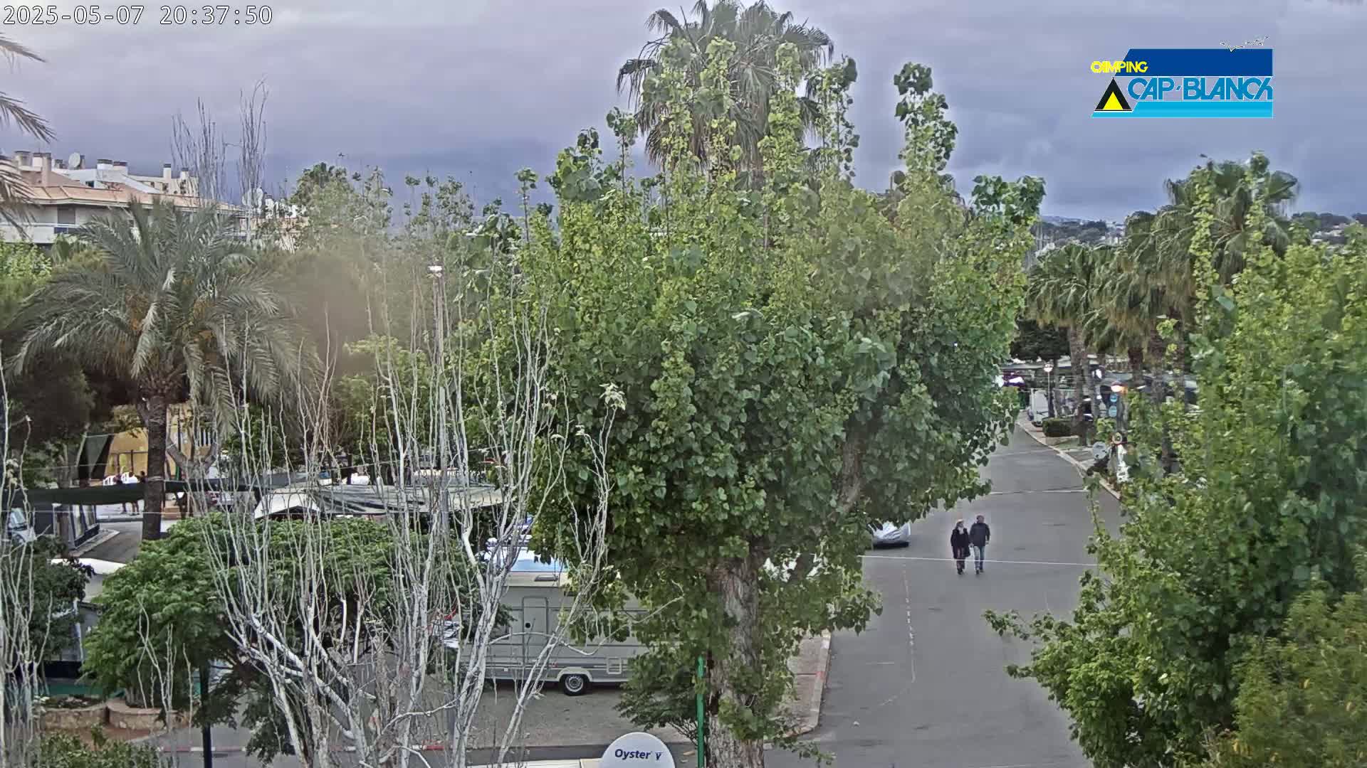 A paved road winds through a neighborhood of lush green trees and palm trees under an overcast sky, with a couple walking down the road and a camper parked nearby.