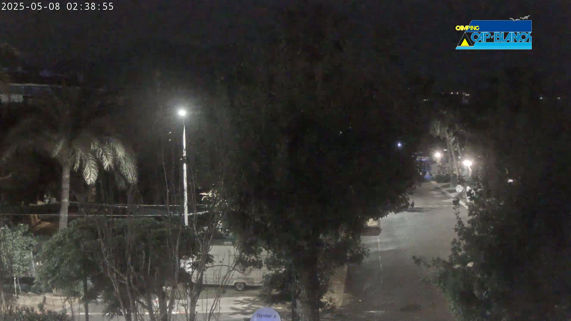 A nighttime view of a street scene showing trees, a vehicle, and a streetlight under a clear, dark sky.